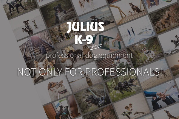 Juluis K9 история